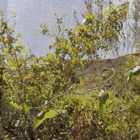 Casa El Dragonet Βίλα El Perelló Εξωτερικό φωτογραφία